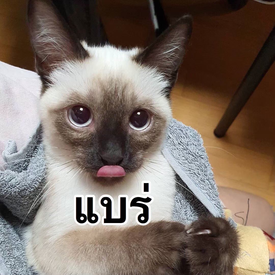 พิหลุยตอนเด่กๆๆๆ น่ารักมากกก 🥺🥺