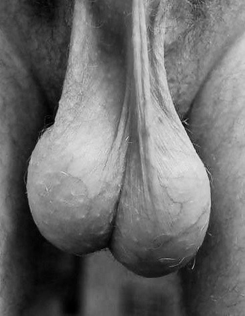 CUMFESSIONS (55K) tweet media