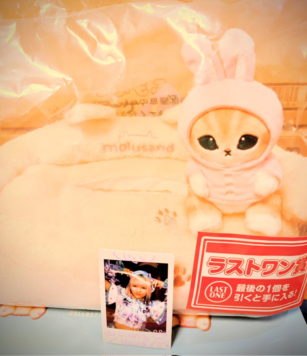 ファミマ一番くじモフサンド！ラストワン賞ゲットしたよ！ うさにゃん