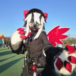 Photo by 호산달 (@_martesfox)