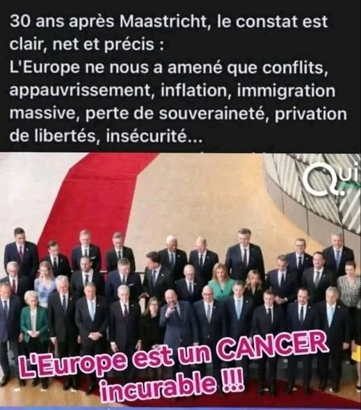 Anne cardynale ou @Bellinarg4 tweet media