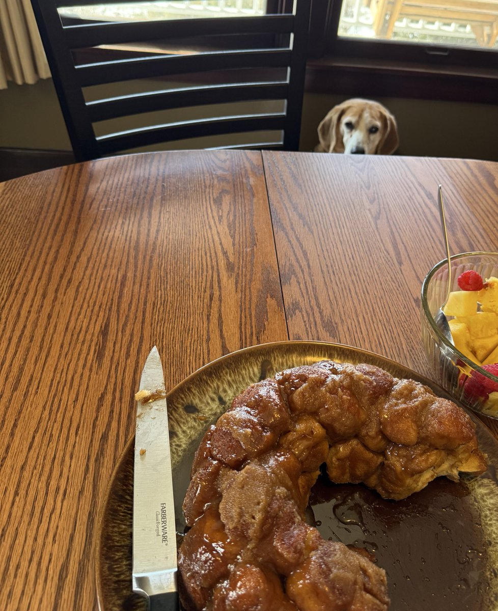 HoundDogLove1's tweet image. I smell that you have a delicious baked treat this morning….#beagle #bread #delicious #smell #share