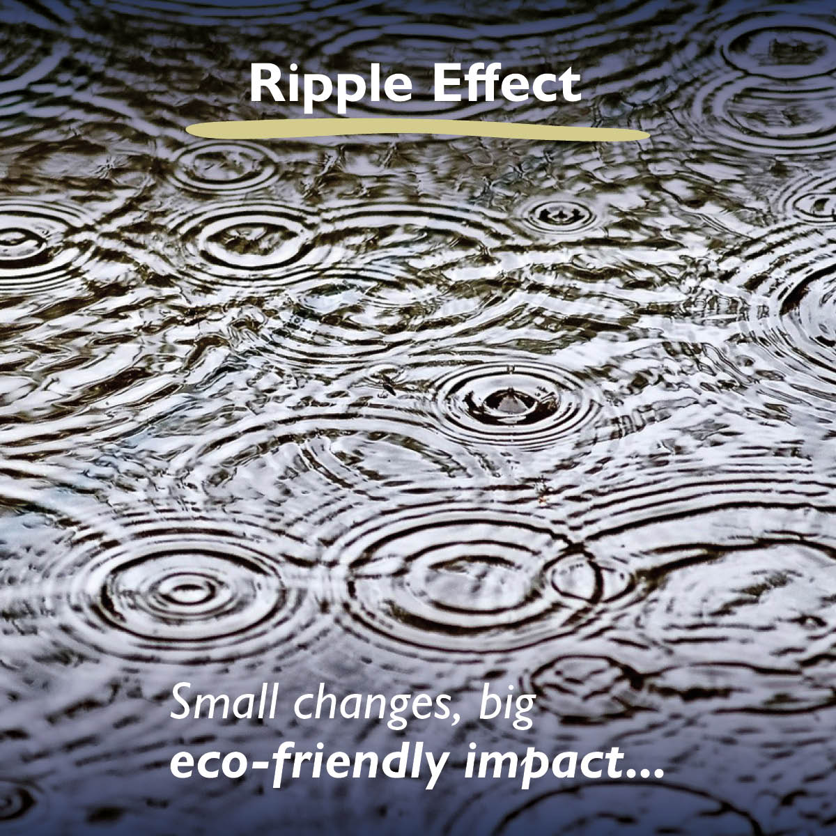 Hartley Botanic tweet media