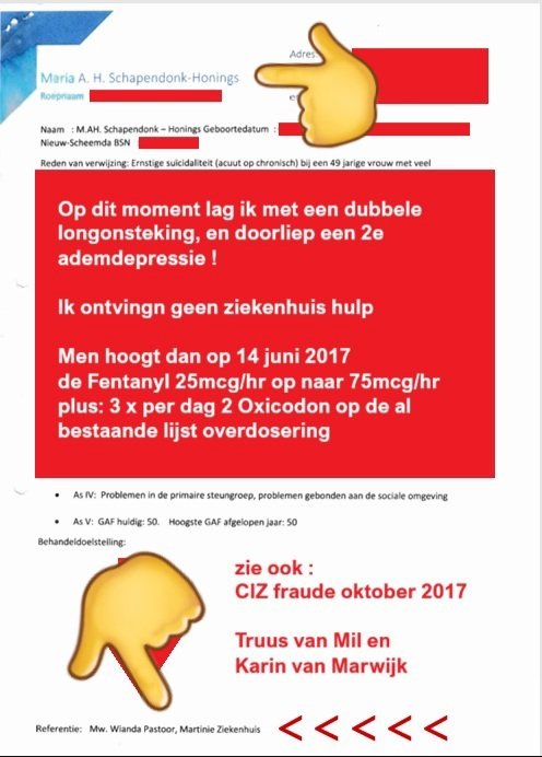 Nooit eerder mocht ik zulk een bedrog lezen als die smerige schijnheilige drek die verkocht wordt door de #Holistische zweefteven van #CrazyWise

Wianda Pastoor ook al z'n Jankfabriek zweefteef van
Michiel van de Oever &amp; zijn psychose club

AcuteZorg IT'ers
met een Holistisch