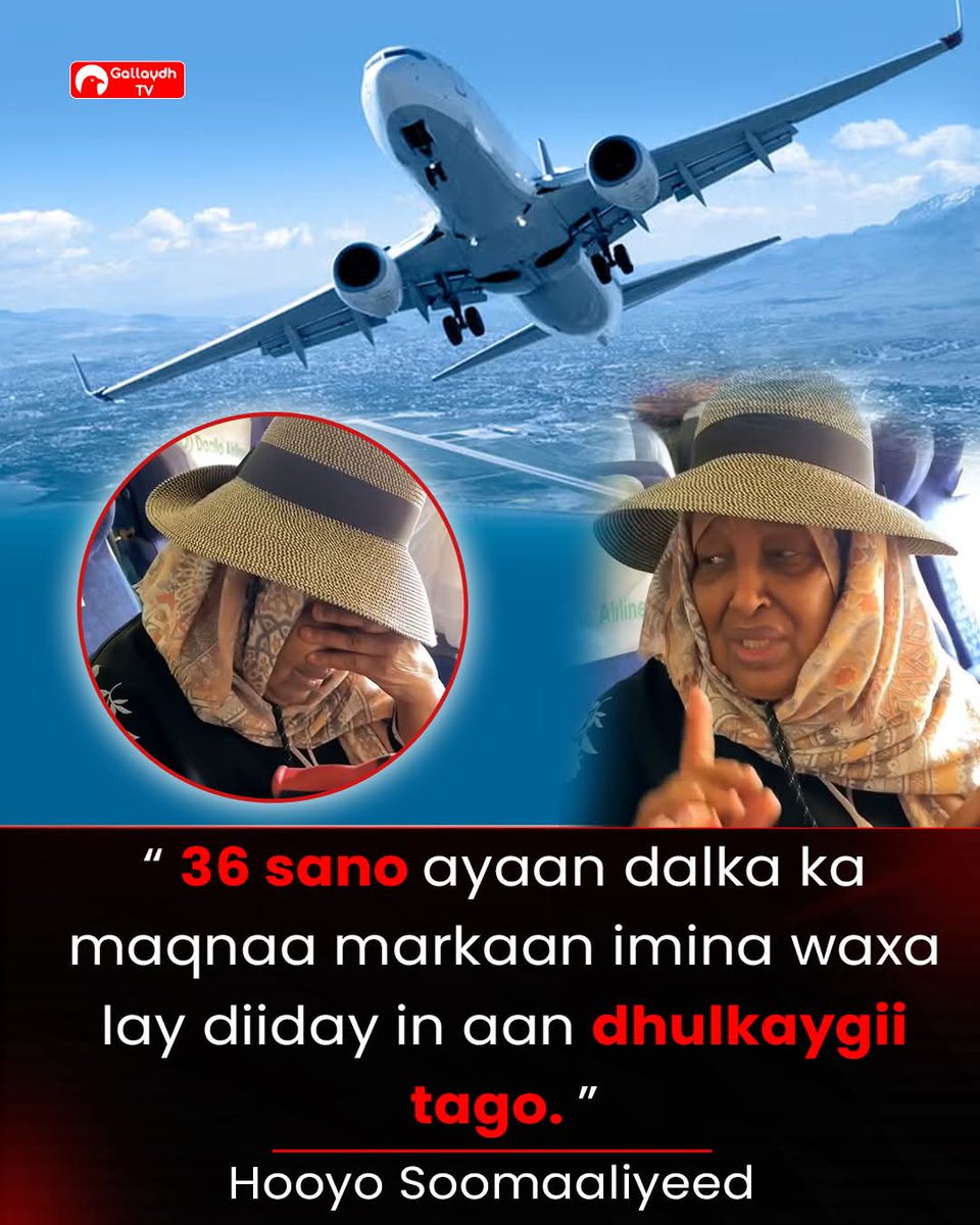 Sultan Abdikariim (Waayo-Arag) tweet media