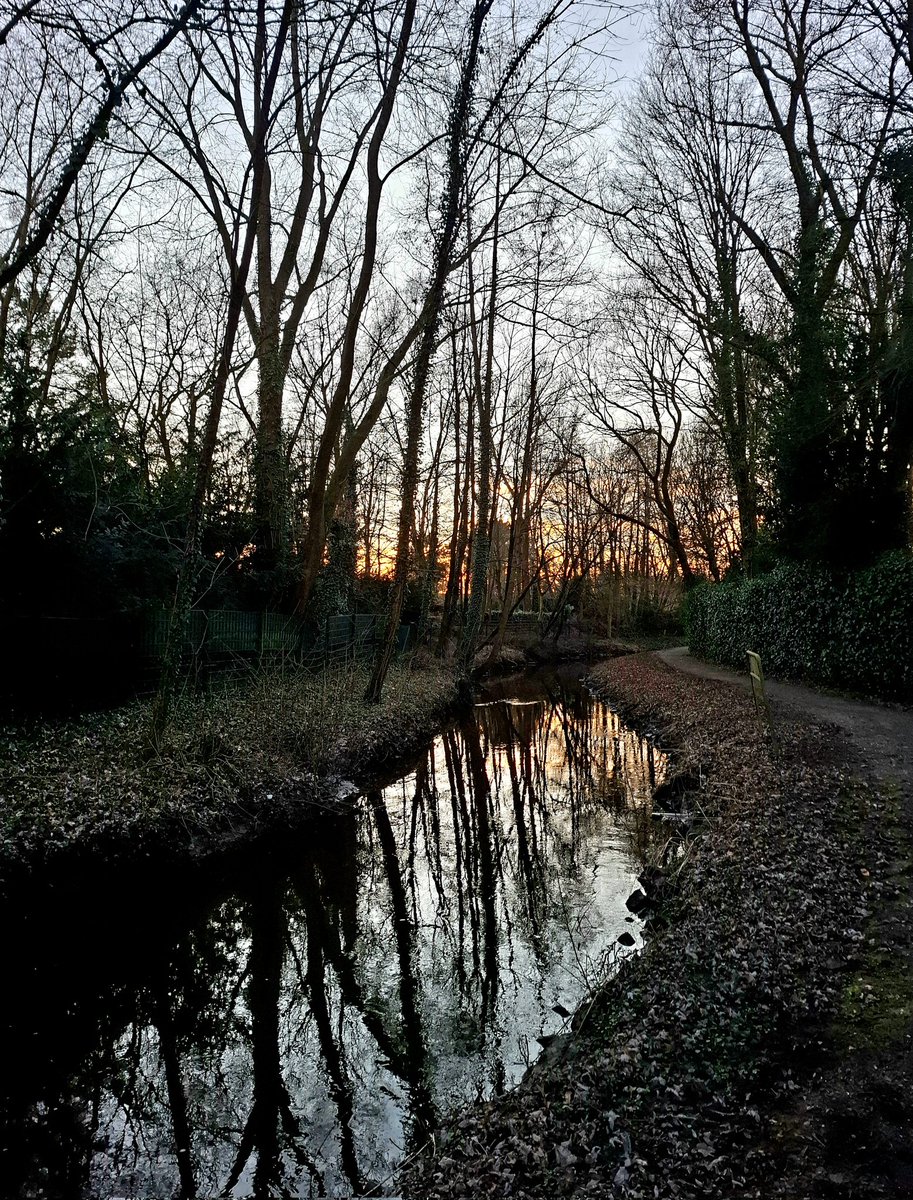 chriz31_07's tweet image. Share QP your favourite February Shots📸 

#Photography 
#February #nature