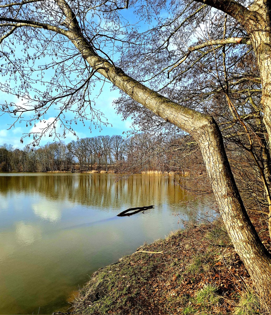 chriz31_07's tweet image. Share QP your favourite February Shots📸 

#Photography 
#February #nature