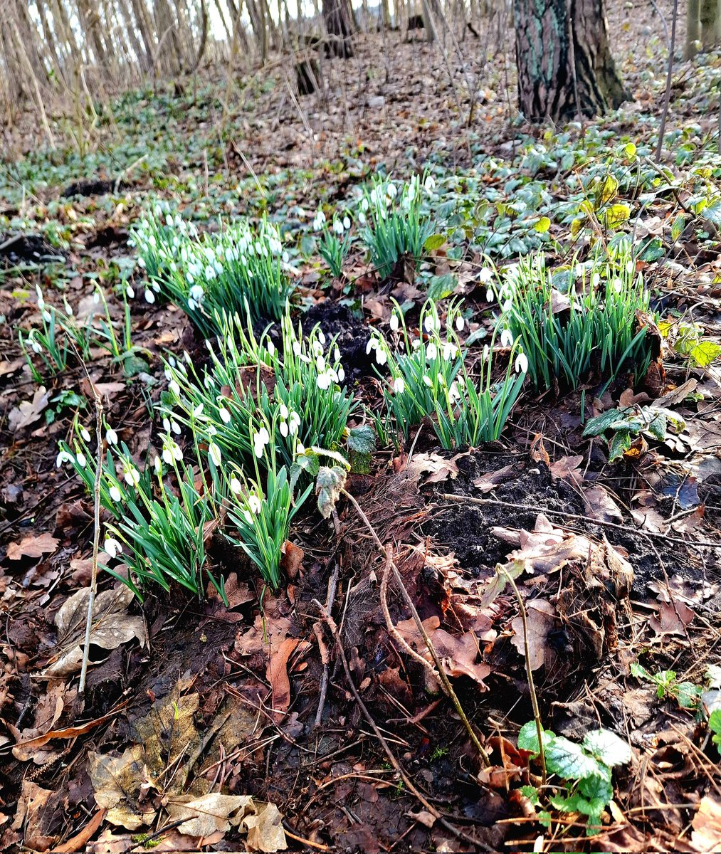 chriz31_07's tweet image. Share QP your favourite February Shots📸 

#Photography 
#February #nature