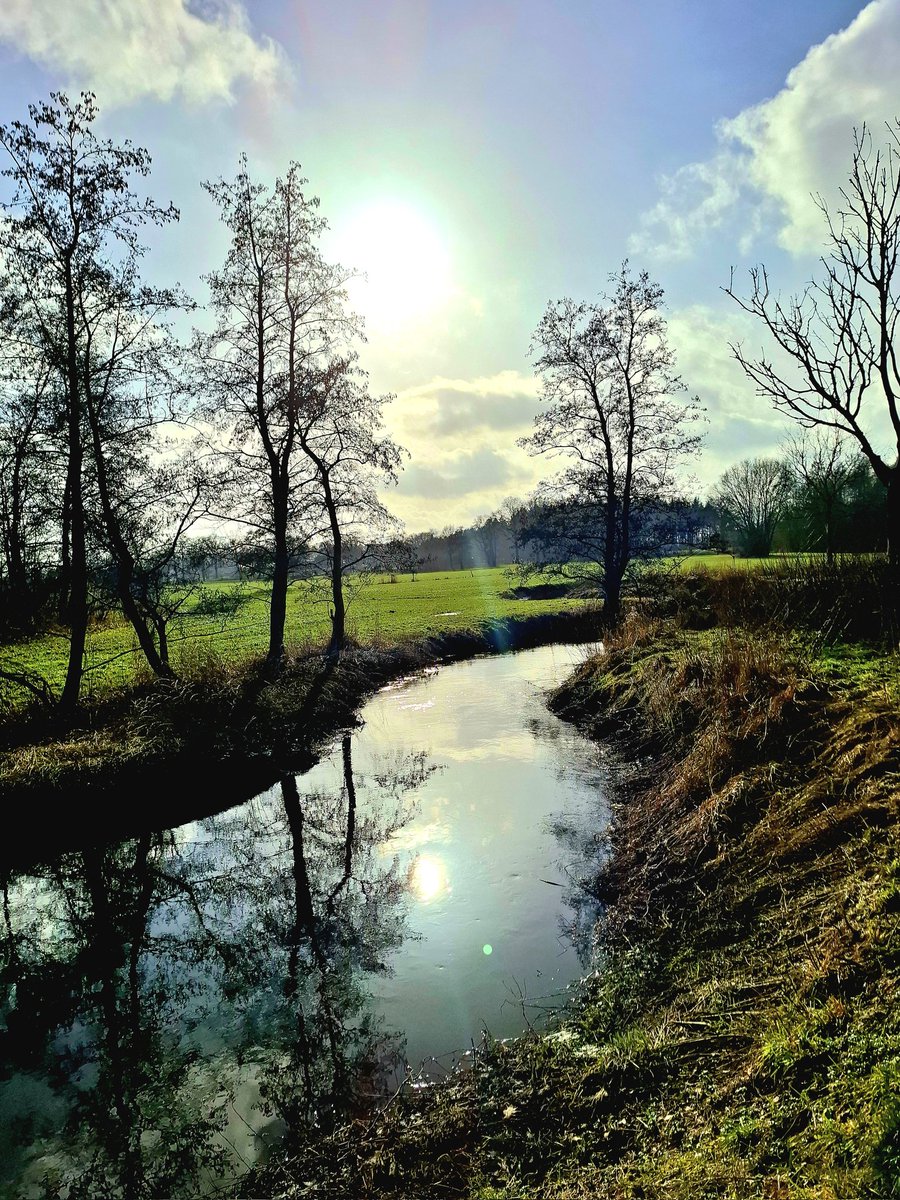 chriz31_07's tweet image. Share QP your favourite February Shots📸 

#Photography 
#February #nature