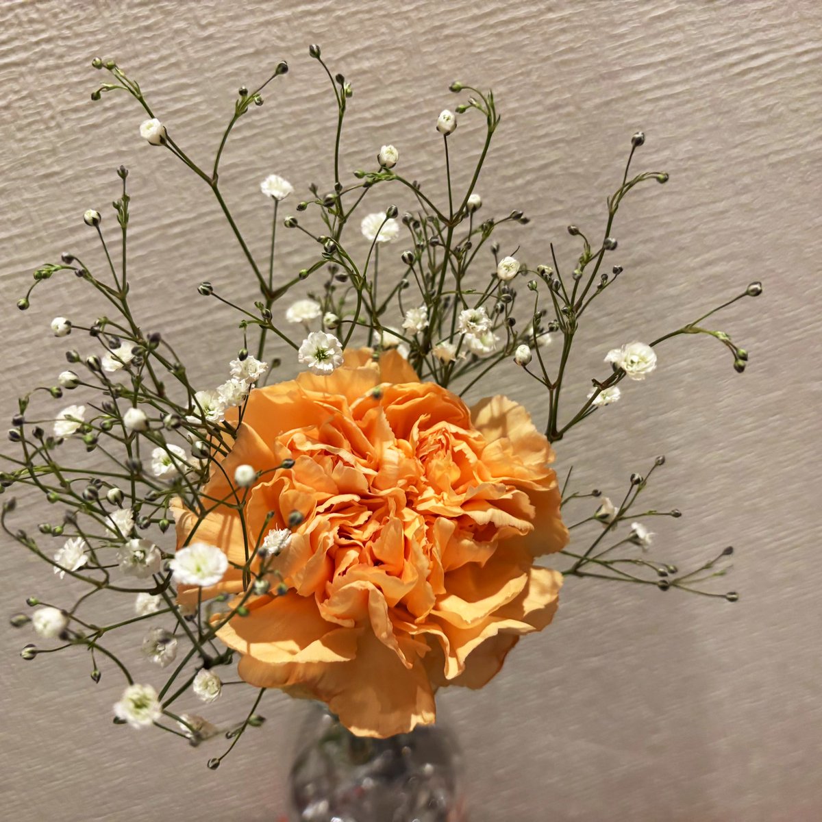 ゆい@0スタ tweet media