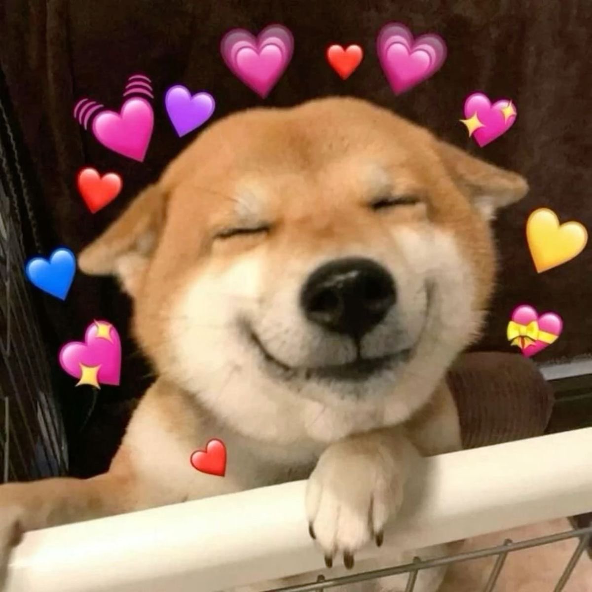 jjaoing (^◕ᴥ◕^) tweet media