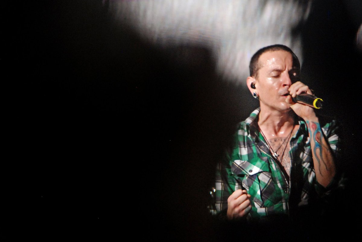 ChesterB Pics tweet media
