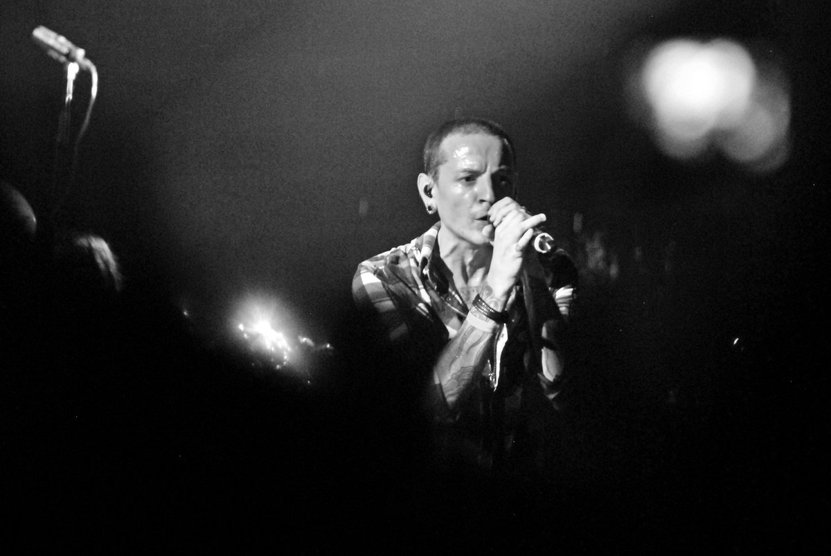 ChesterB Pics tweet media