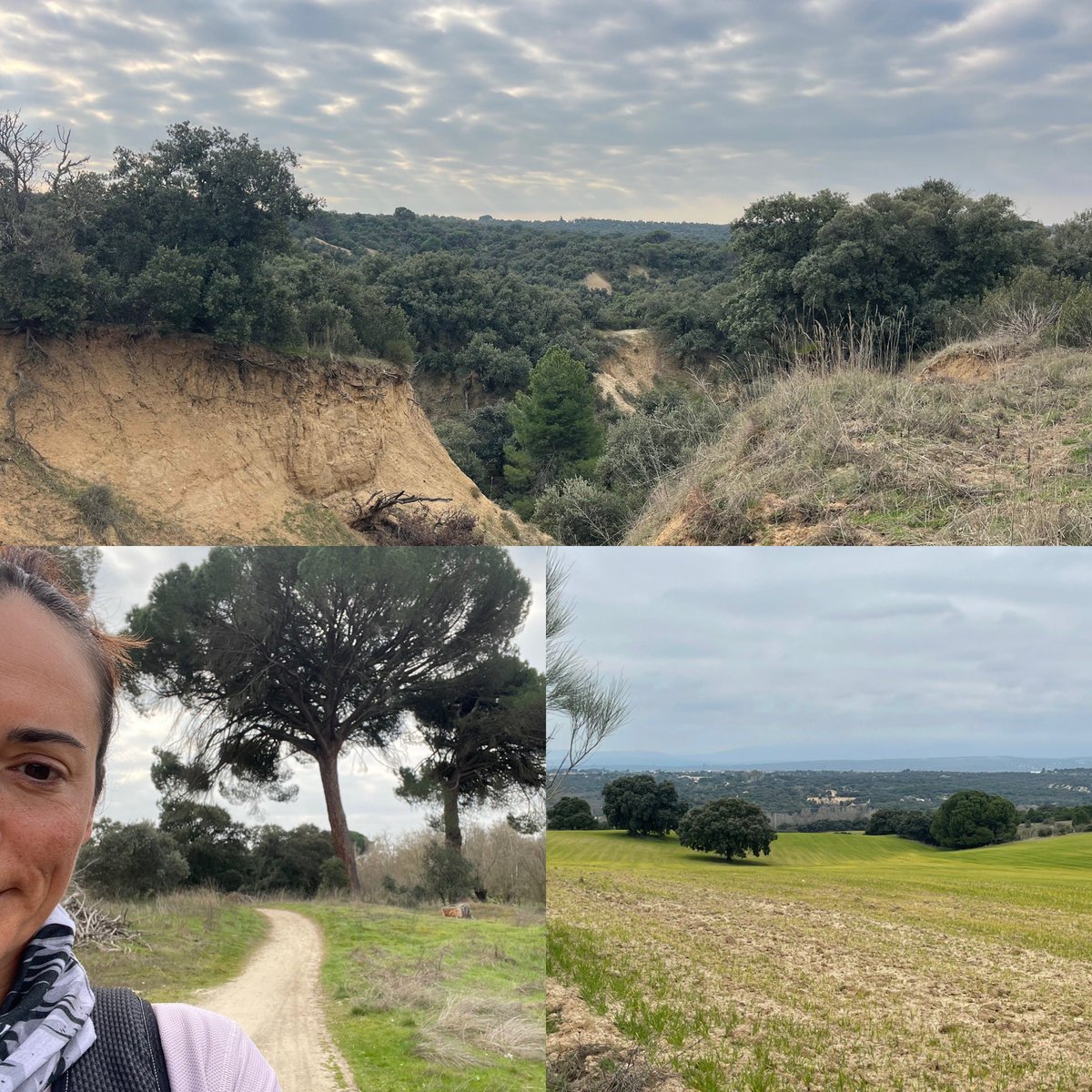 Soraya Manjón Vega tweet media