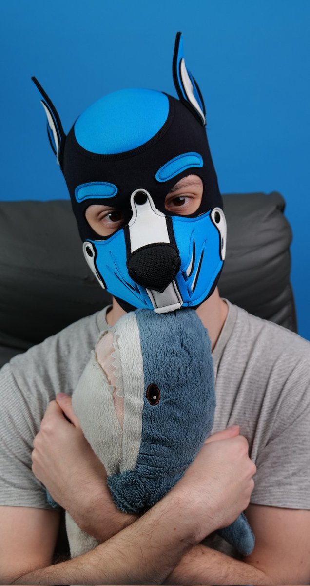 PupHunter tweet media