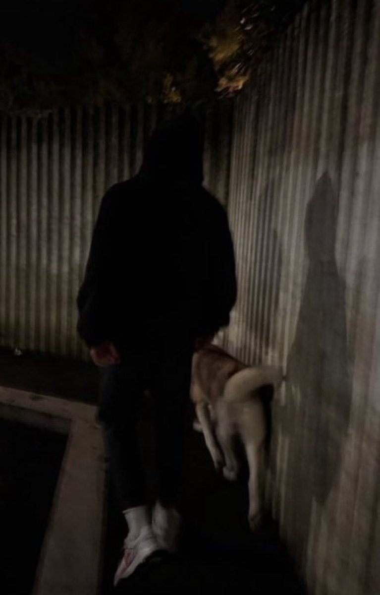 non scatta foto, custodisce attimi. immortala e sceglie di condividere la semplicità, perché è lì che vive la sua felicità. ogni immagine è un grazie silenzioso alla vita per l’amore che oggi, finalmente, la fa sorridere davvero♥️
#jonita