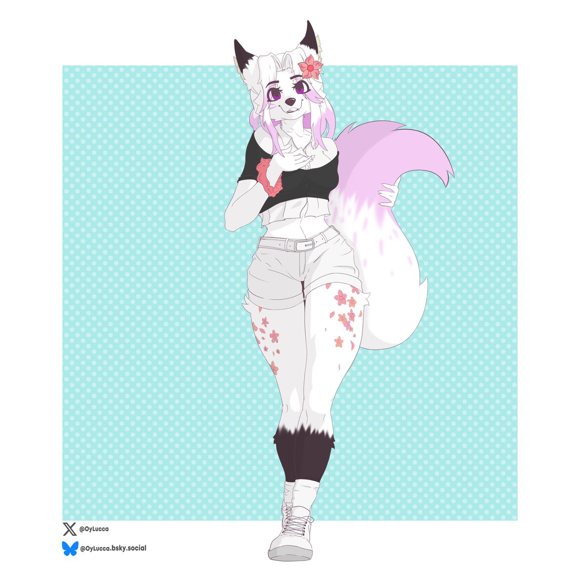 Fusca (new) tweet media