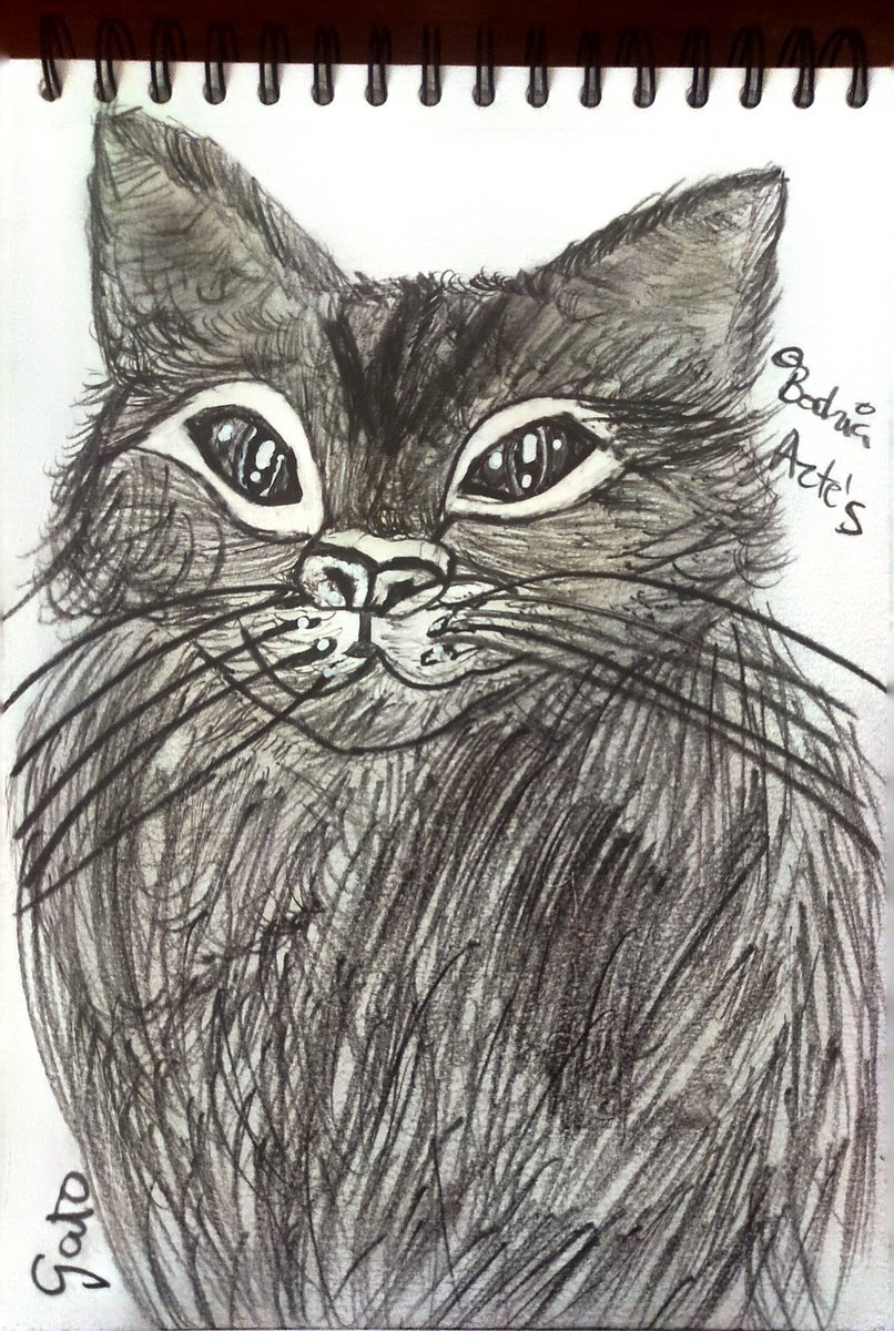 vanessagarper's tweet image. #Drawing #Obra *Todos los Derechos Reservados ©BodriaArte's