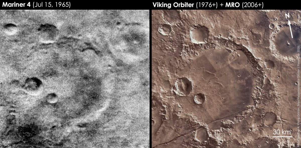 Pascal Lee tweet media