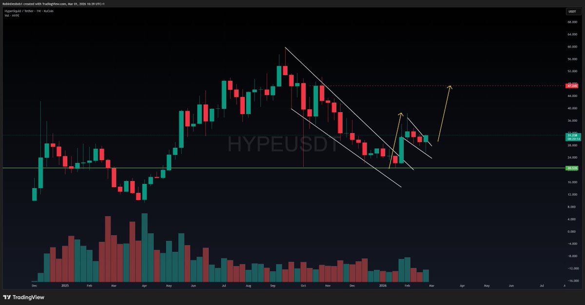 RobinDesBois tweet media