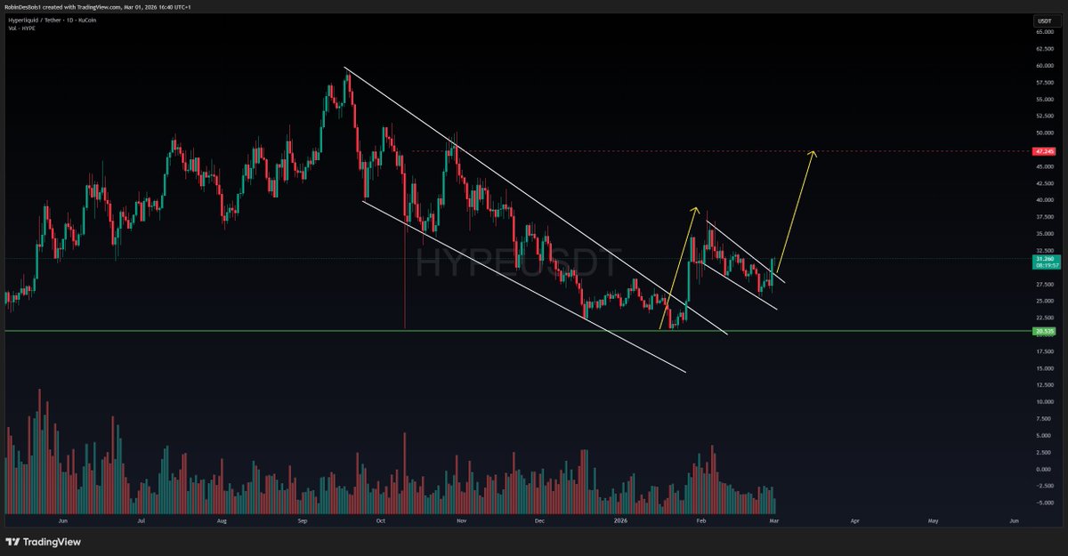 RobinDesBois tweet media