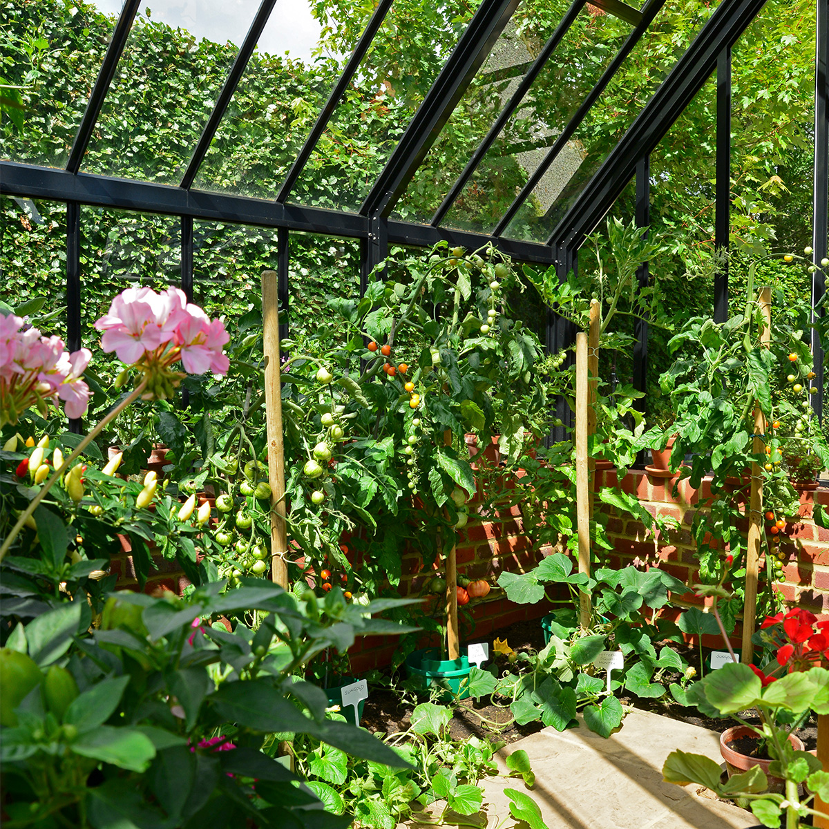 Hartley Botanic tweet media