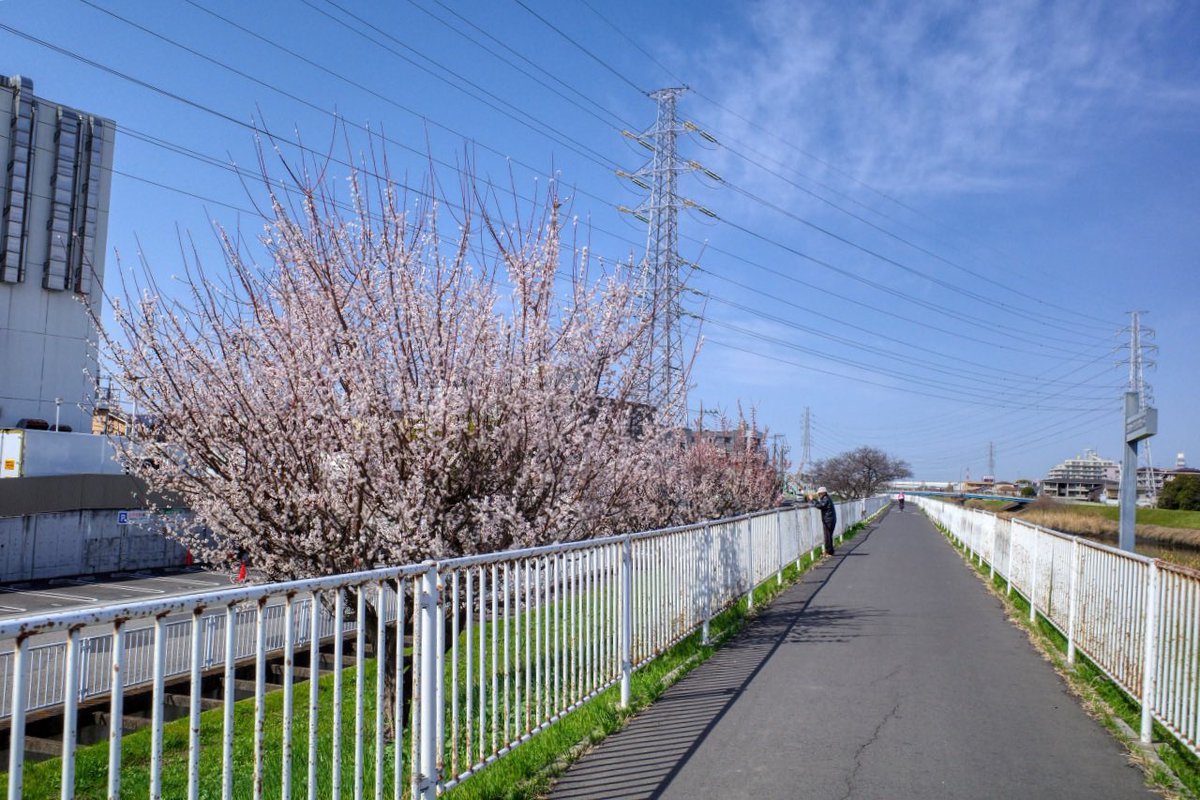 うなくーる tweet media