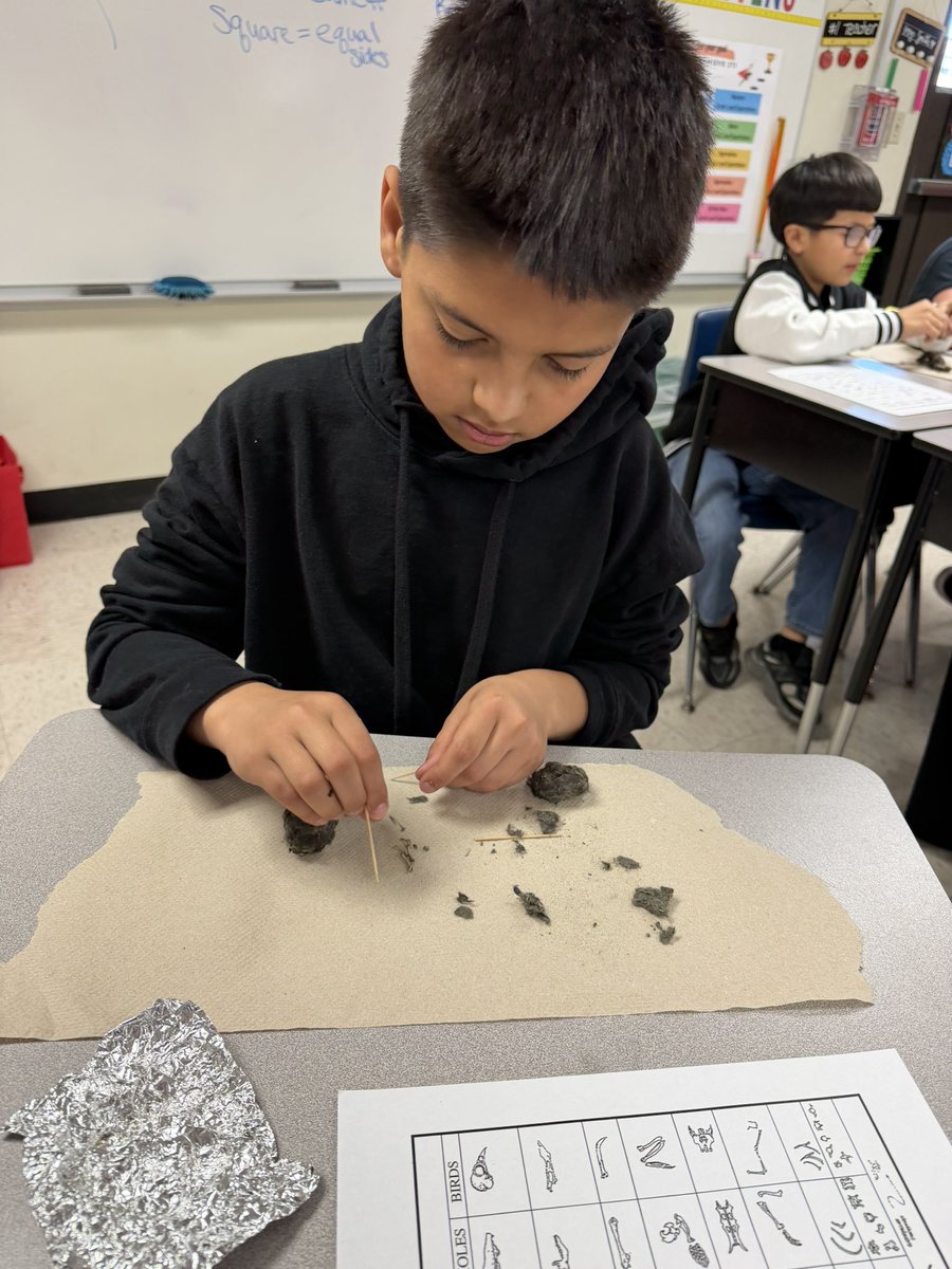 ms. vasquez tweet media