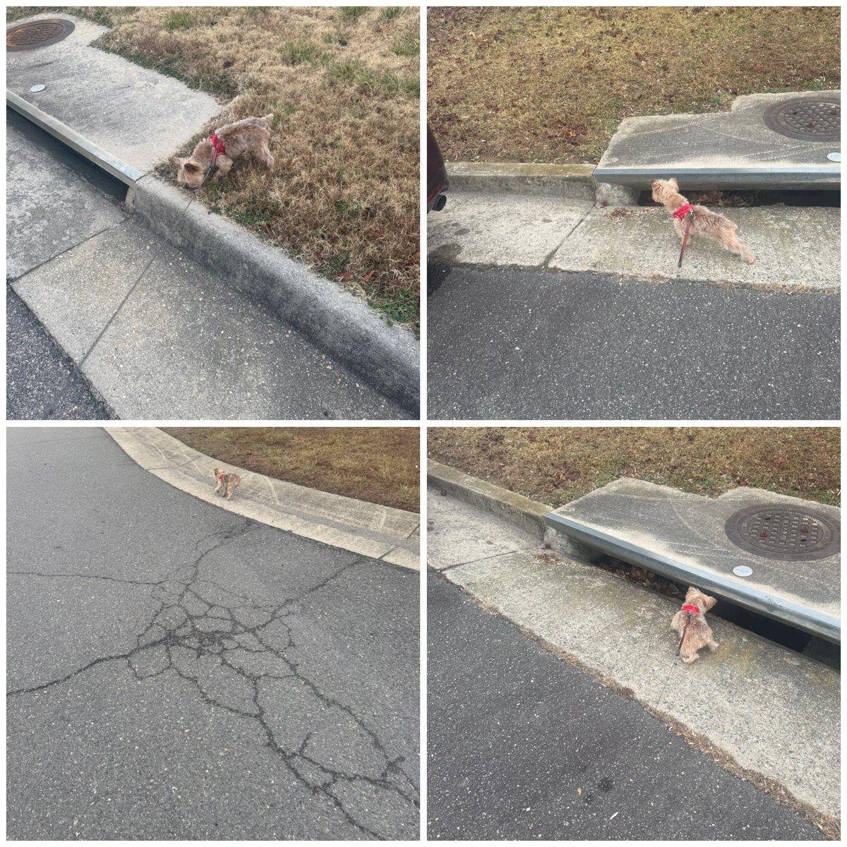 Alicia Fields(she/her/hers) tweet media