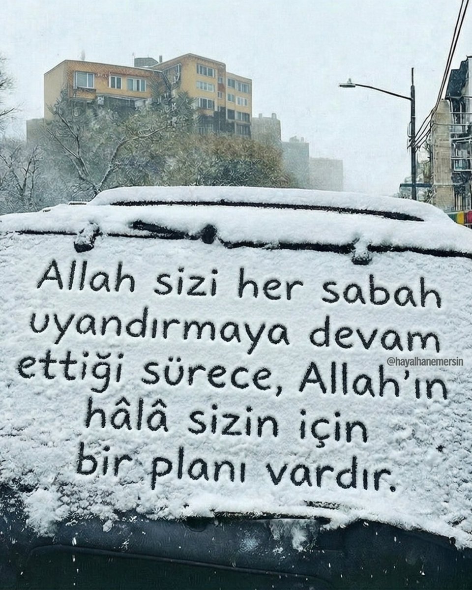 hayalhanemersin's tweet photo. https://t.co/aam4UTLK3e