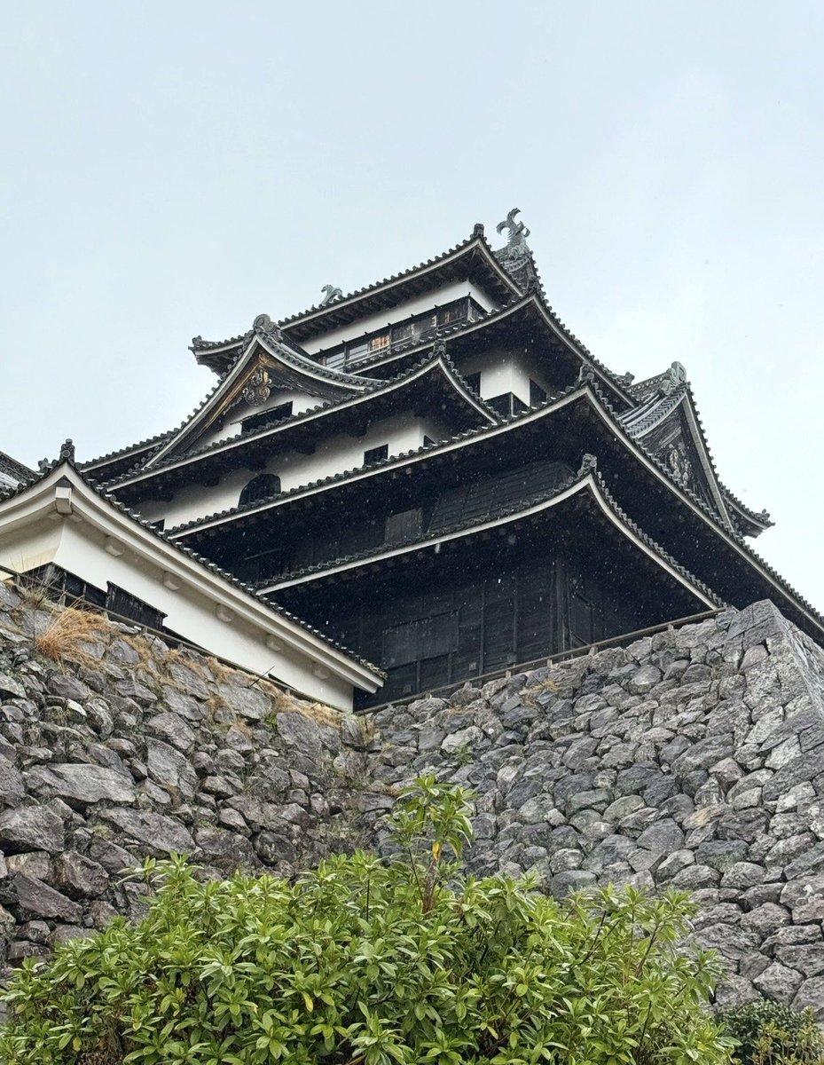 toyoakik's tweet photo. <山陰旅へ>

出雲そばを食べ、出雲大社で初めて昇殿祈祷を体験しました！

#松江城
#出雲大社
#出雲大社神楽殿
#足立美術館
#出雲そば https://t.co/QK0NljwotG