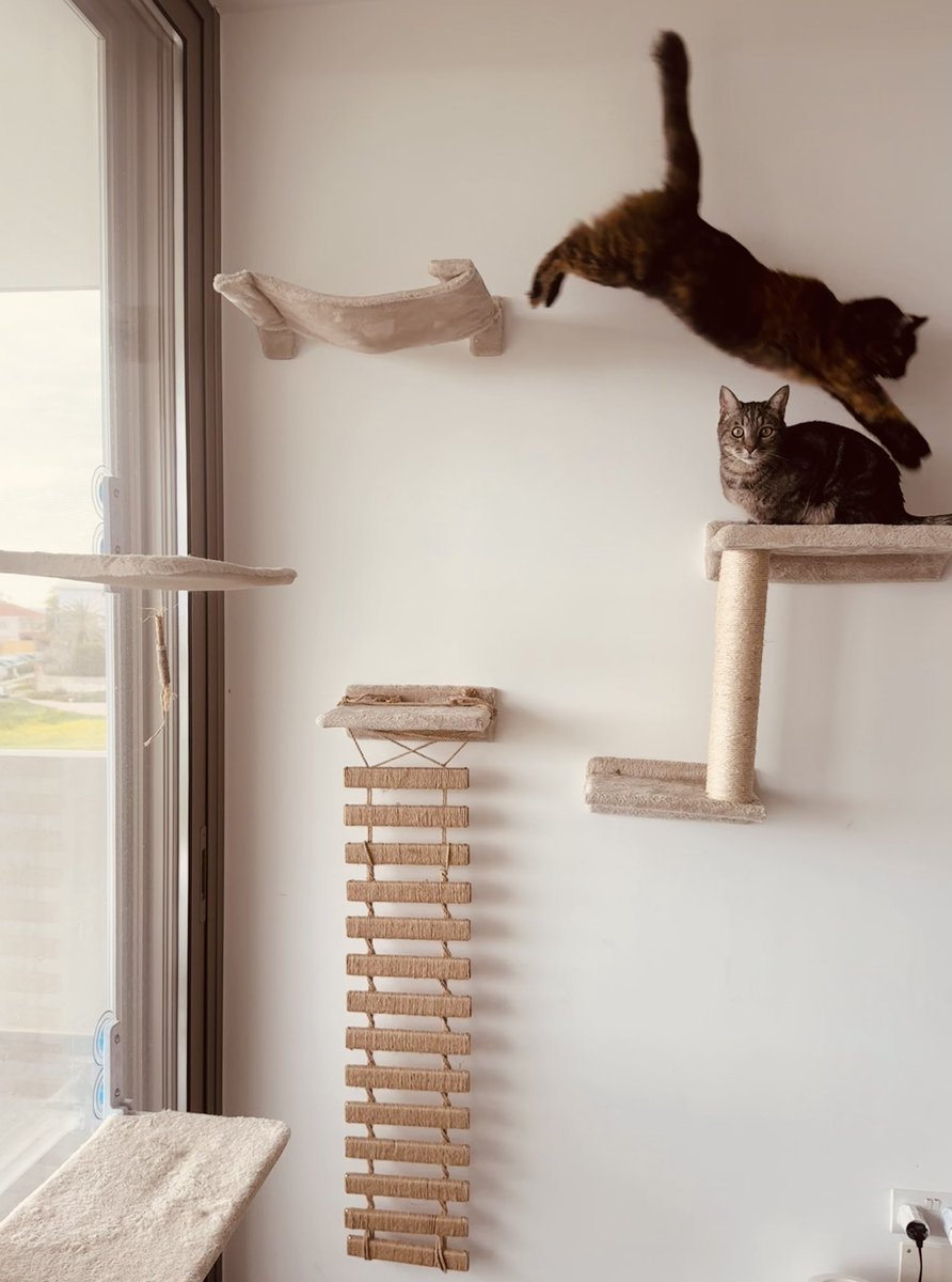 Ekaterina Petrova tweet media