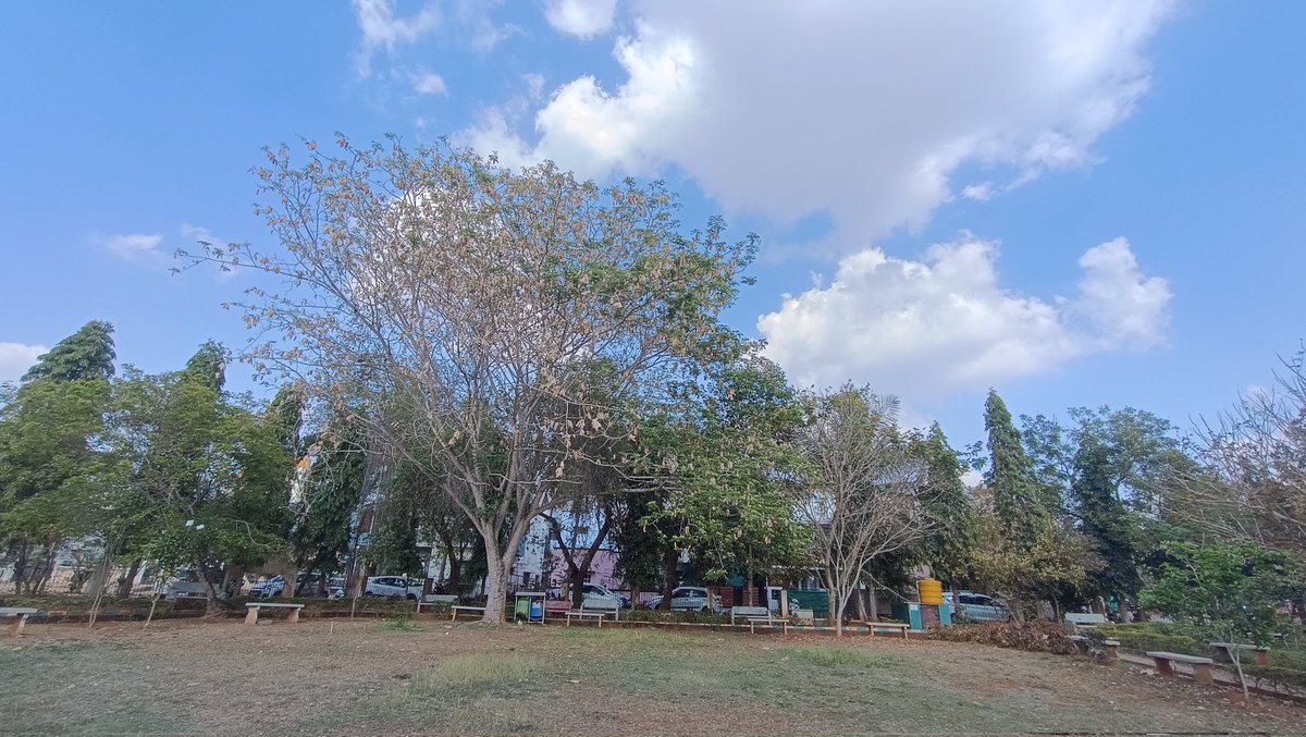 NikilAppanna's tweet image. Peace is the only solution 🫶🫂 #HappyWeekendGuys #Trekking #Hikking #Ancient #Cave #Temple #Nature #HeavenonEarth 🌏 #Camping #Waterfall #Lake #GoogleMaps #DamianWayne #LocalGuidesConnect  #Shoutouttomycity #Bengaluru #Mysuru #Kodagu #Mangaluru #Puttur #Karnataka #India 🇮🇳