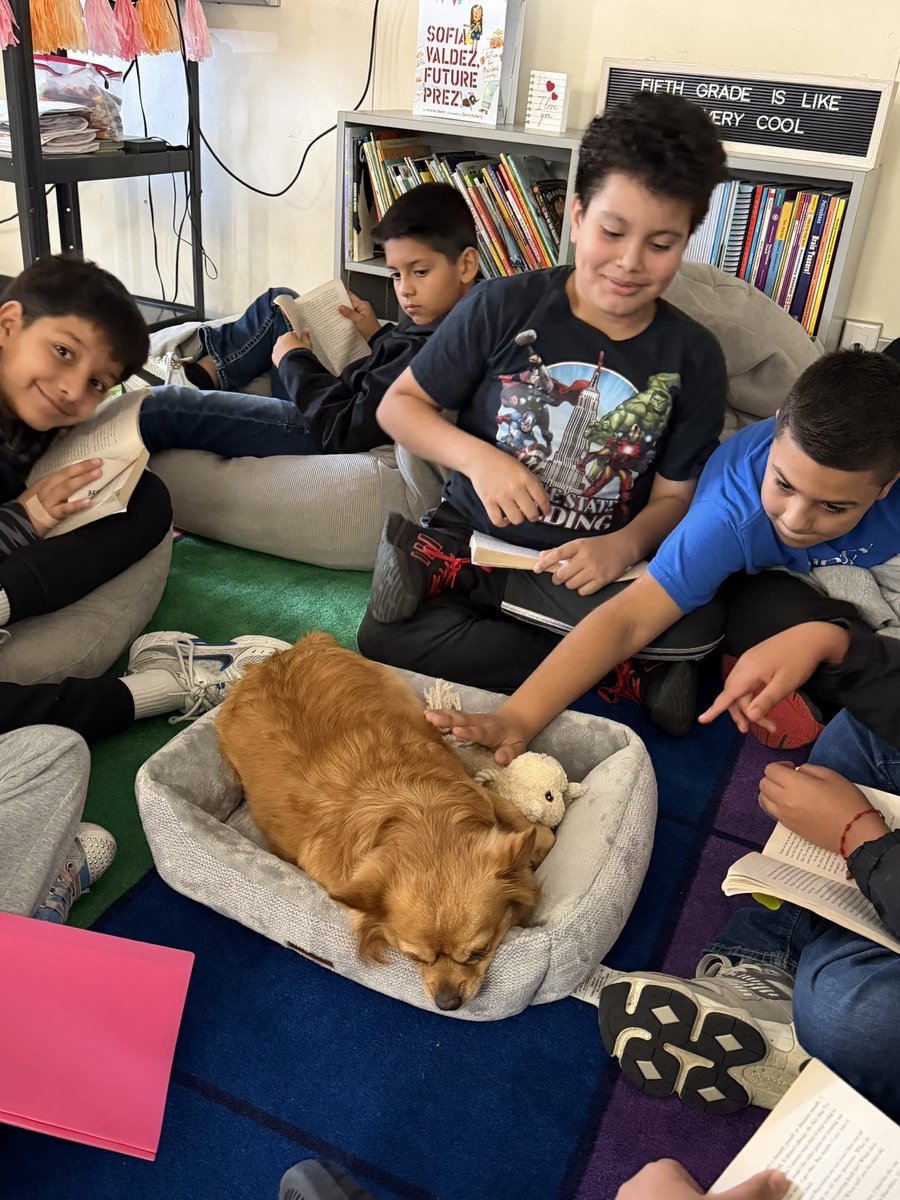 ms. vasquez tweet media