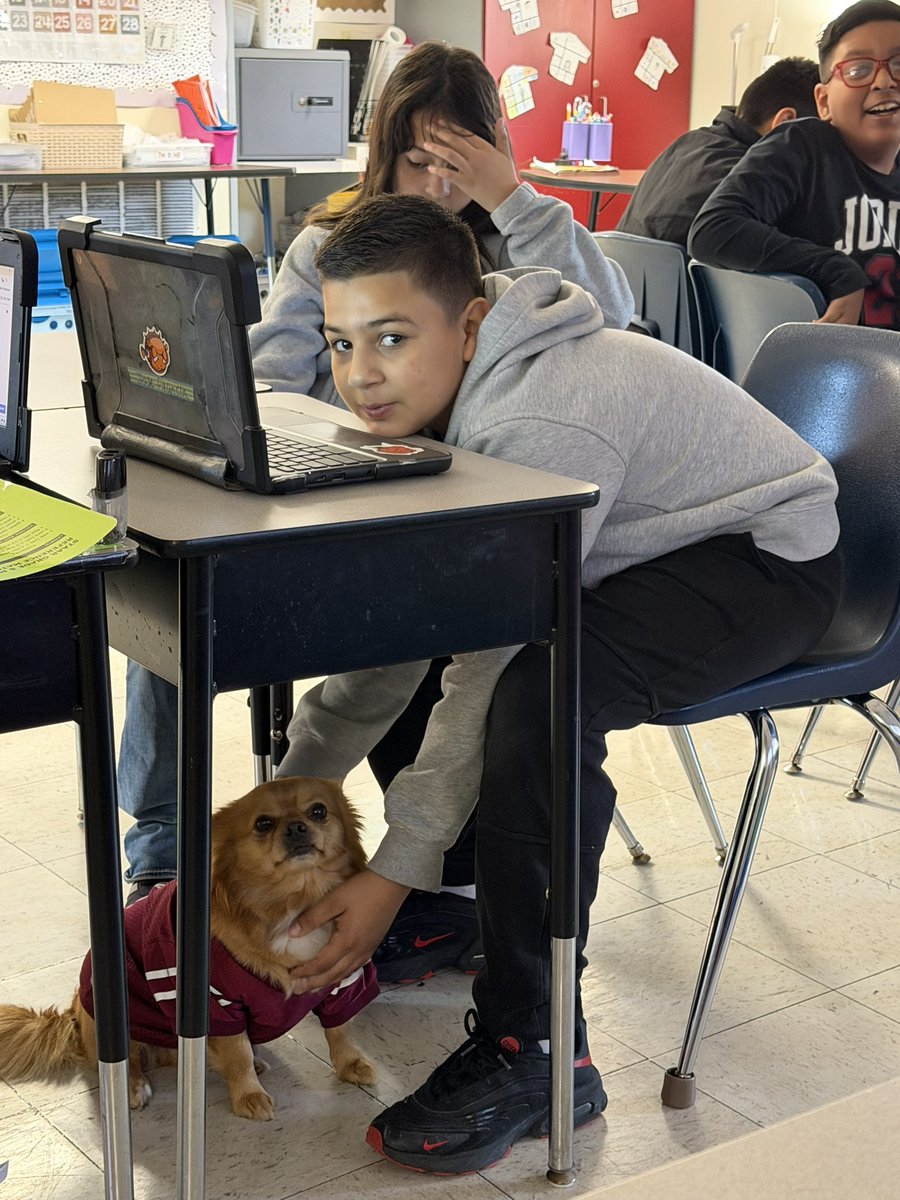 ms. vasquez tweet media