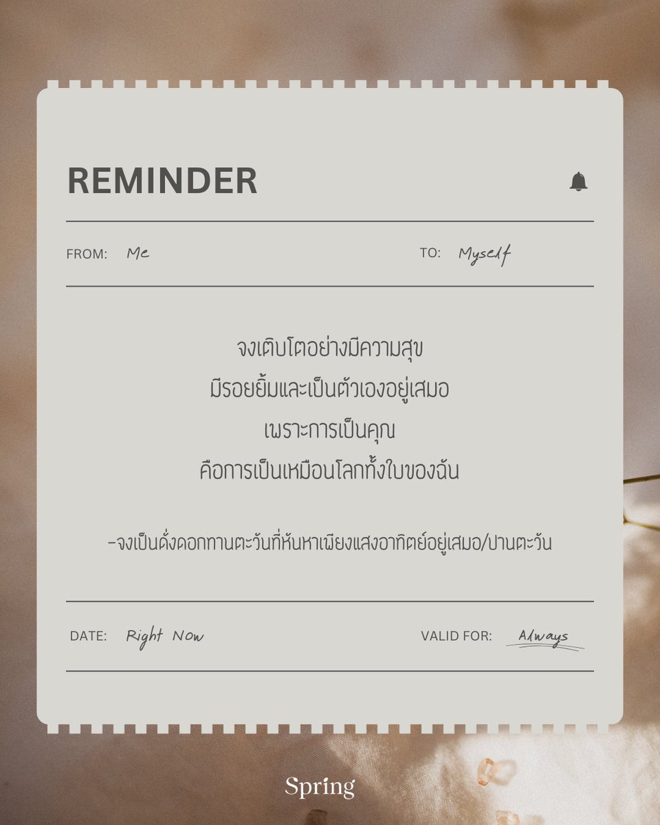 Springbooks tweet media