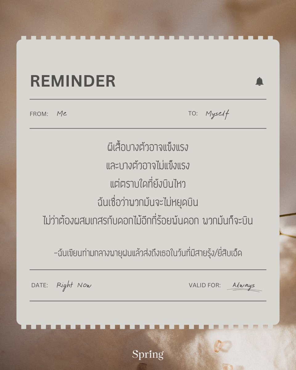 Springbooks tweet media