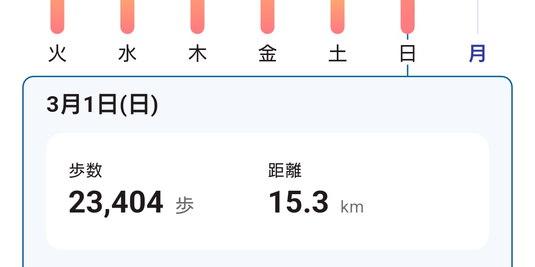 ヒールのある靴で歩いて良い距離では無いな…今めちゃくちゃ足が痛い（でしょうね）