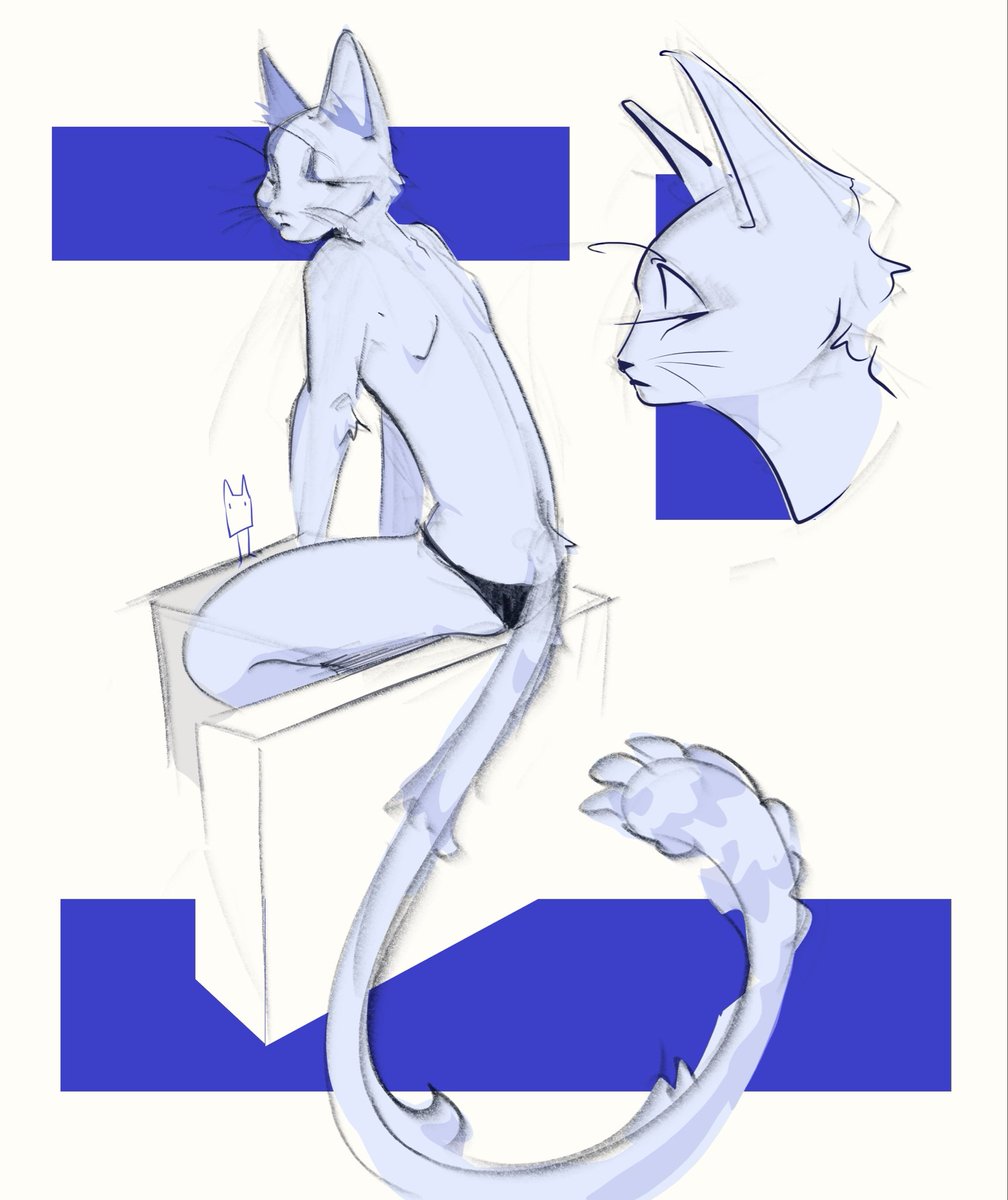 Kitz4_'s tweet photo. miminkovo firts furry art🥹 https://t.co/eUrLFI7Oti