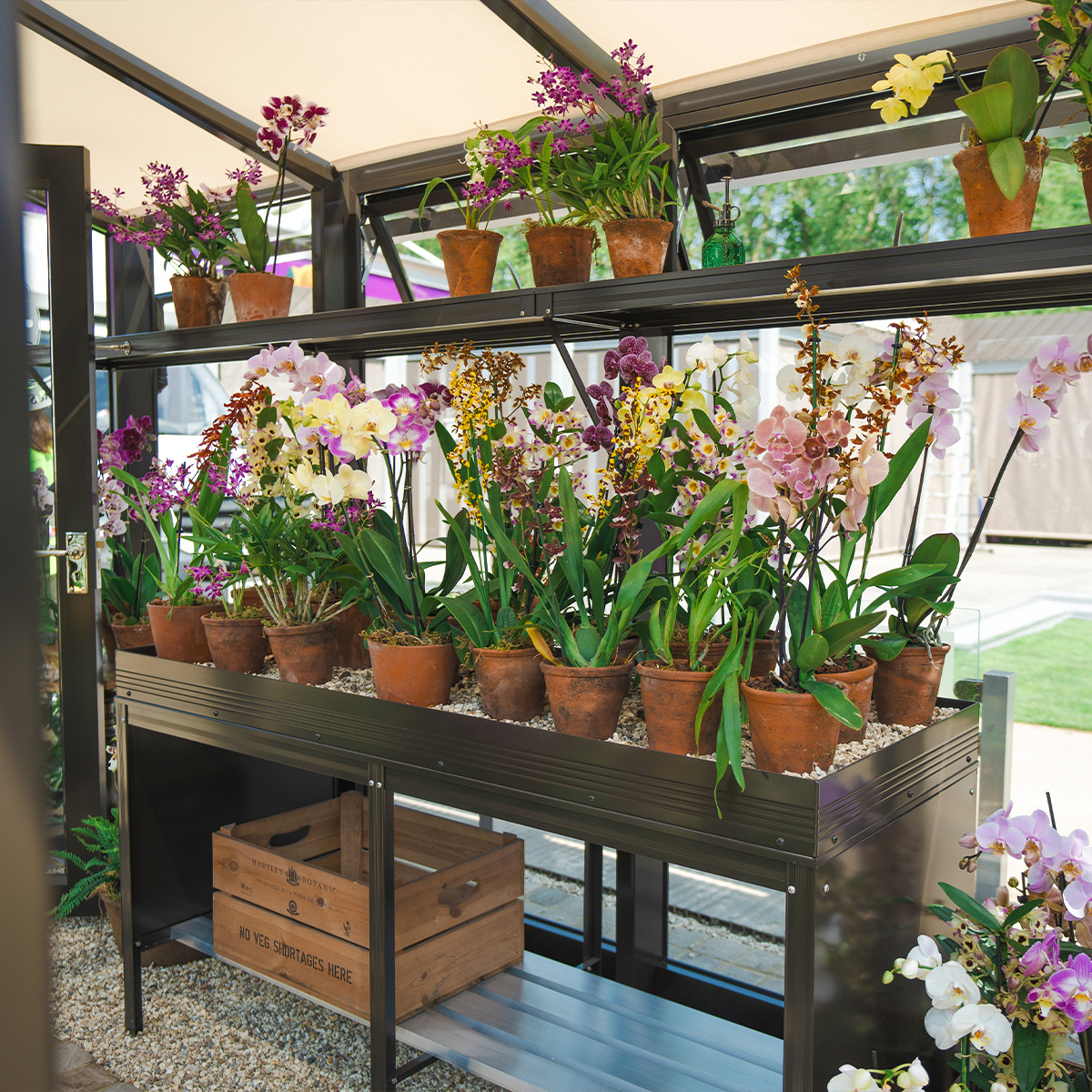 Hartley Botanic tweet media