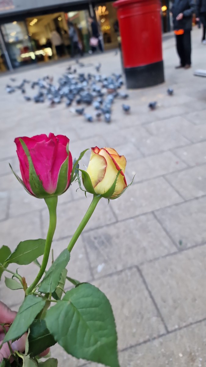 NewsNowYorks's tweet photo. @habibi_uk They gave me flowers and fed the pigeons after too https://t.co/i7RmgCZrRE