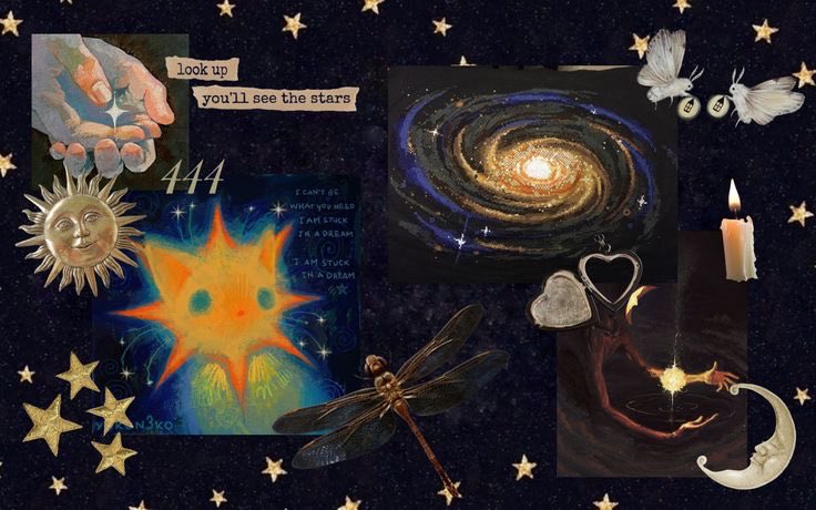 Gaia ☀︎︎︎ tweet media