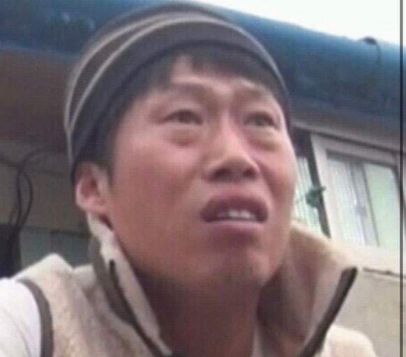 도토리 tweet media