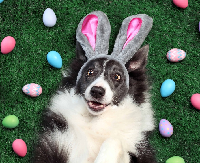 Sara B. Hansen tweet media