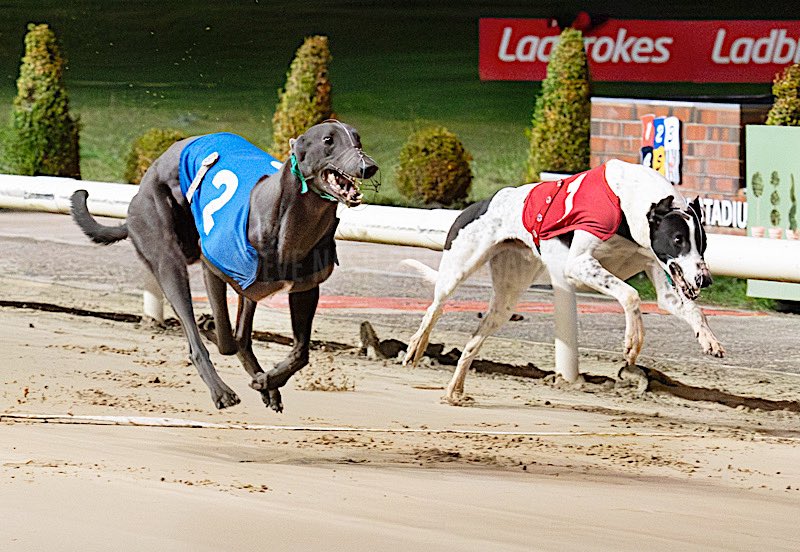 Mark Wallis tweet media