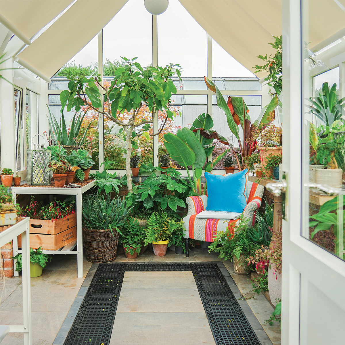 Hartley Botanic tweet media