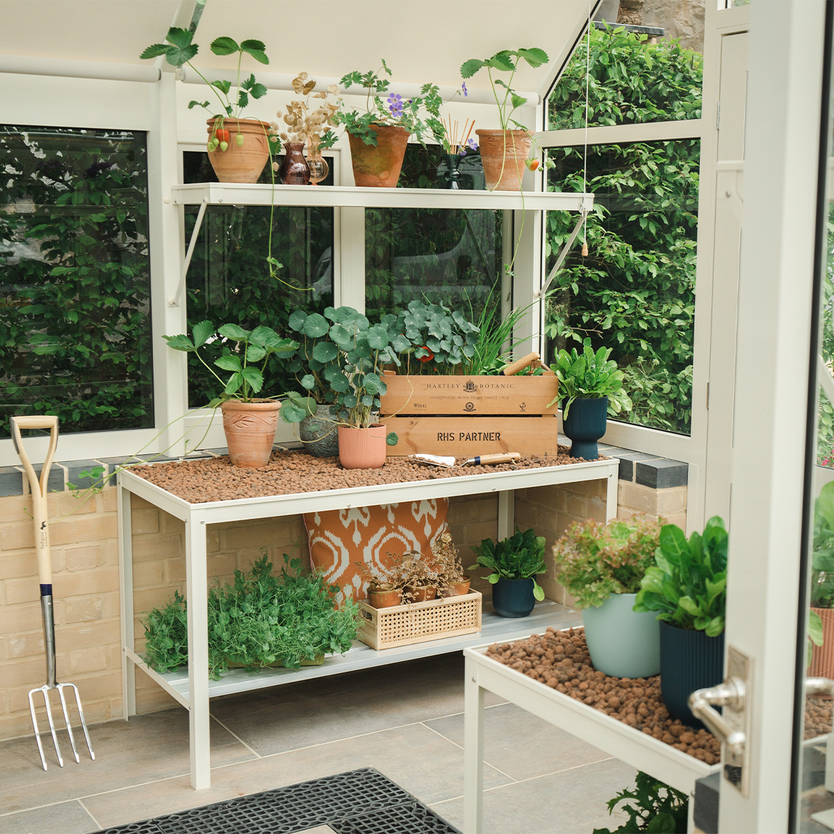 Hartley Botanic tweet media