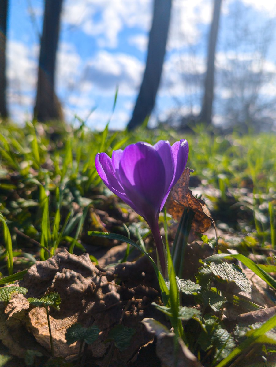 KleinOho tweet media