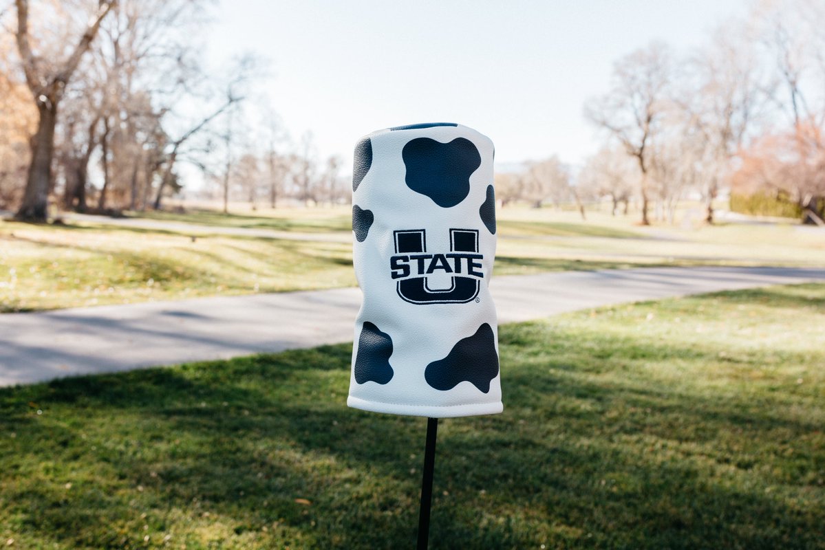 Letterman Golf tweet media