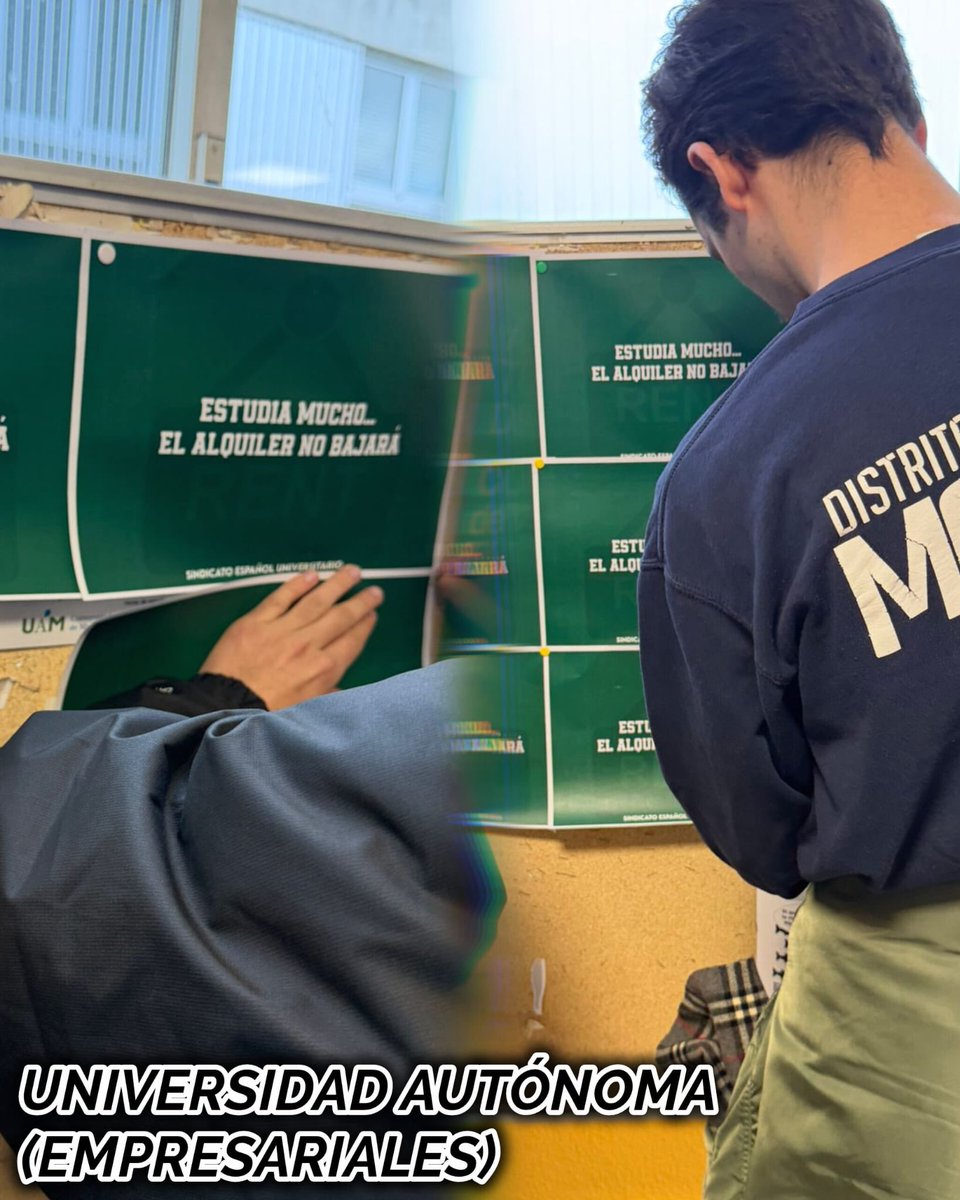 falange_madrid's tweet photo. Terminarás la carrera y recibirás un salario miserable.

¡Por un futuro digno para los jóvenes españoles!

Universidades de Madrid @SEU_es https://t.co/fMGUwzZQ4f
